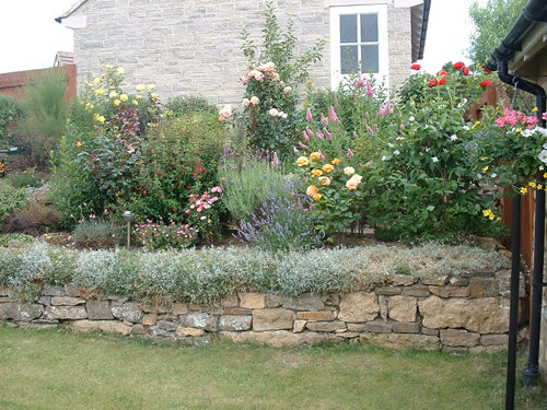 Каменный сад — прекрасное украшение для вашего дачного участка - ЗеленГрад