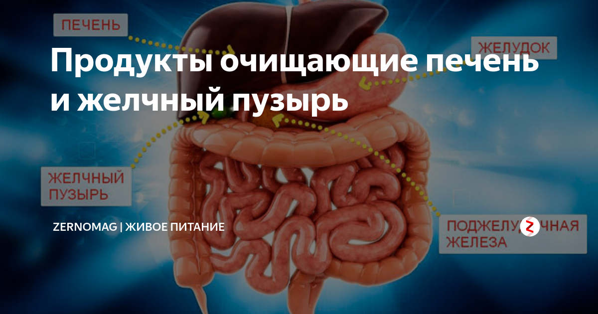 Что любит печень. Продукты для очищения желчного пузыря. Продукты очищающие печень и желчный пузырь. Продукты для очищения печени и желчного. Полезные продукты для желчного пузыря и печени