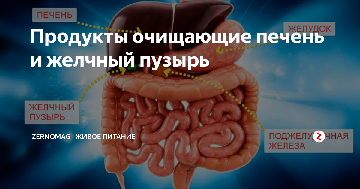 Печень любимое. Продукты для очищения желчного пузыря. Продукты очищающие печень и желчный пузырь. Продукты для очищения печени и желчного. Полезные продукты для желчного пузыря и печени.