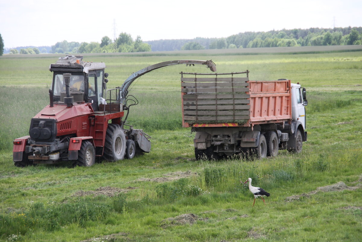 Дмитрий Семенов для "Вечерней Москвы"