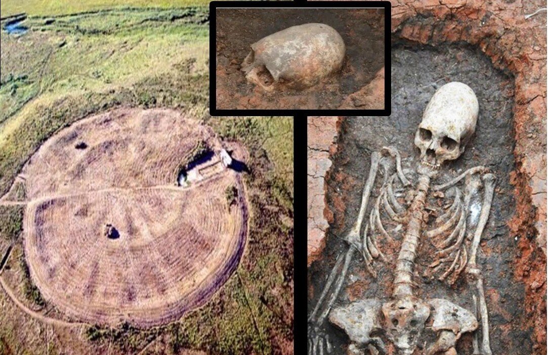 Скелет, обнаруженный в Аркиме