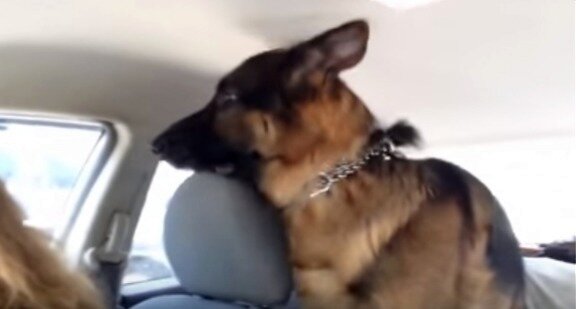 (видео внизу статьи)