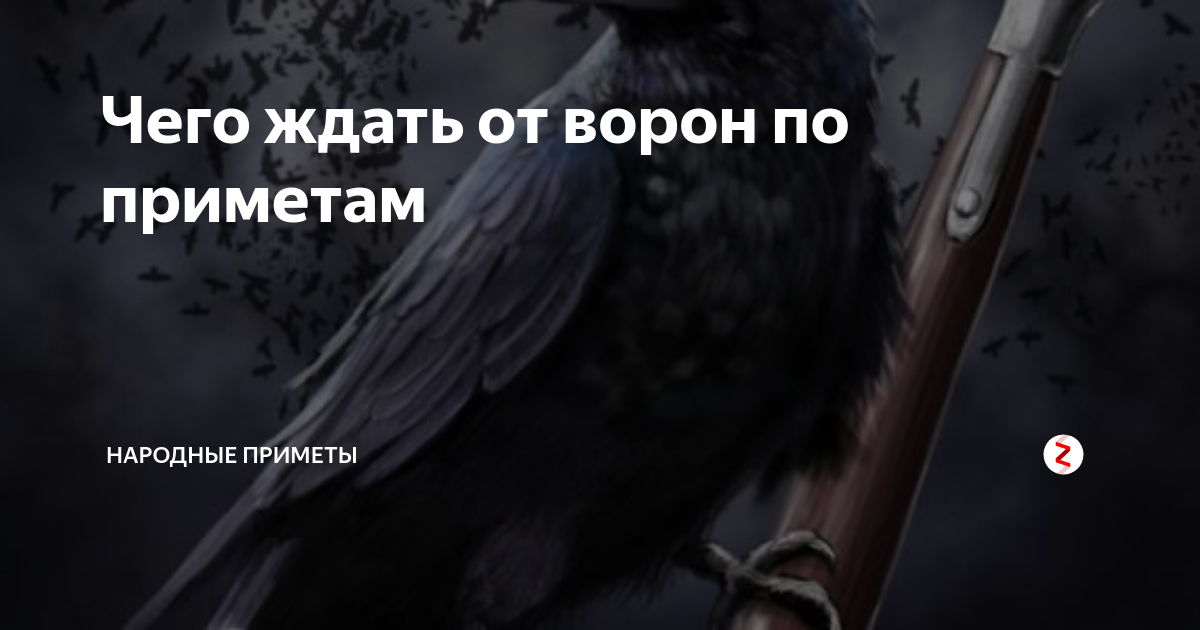 К чему снится ворон. Приметы про ворон. Сон ворон черный. Черный ворон примета. Приснился черный ворон.