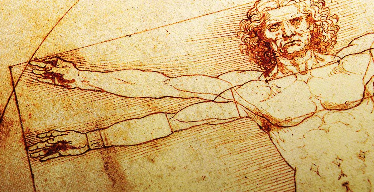 Путь полимата: в чем преимущество разностороннего развития? | Цех | Дзен