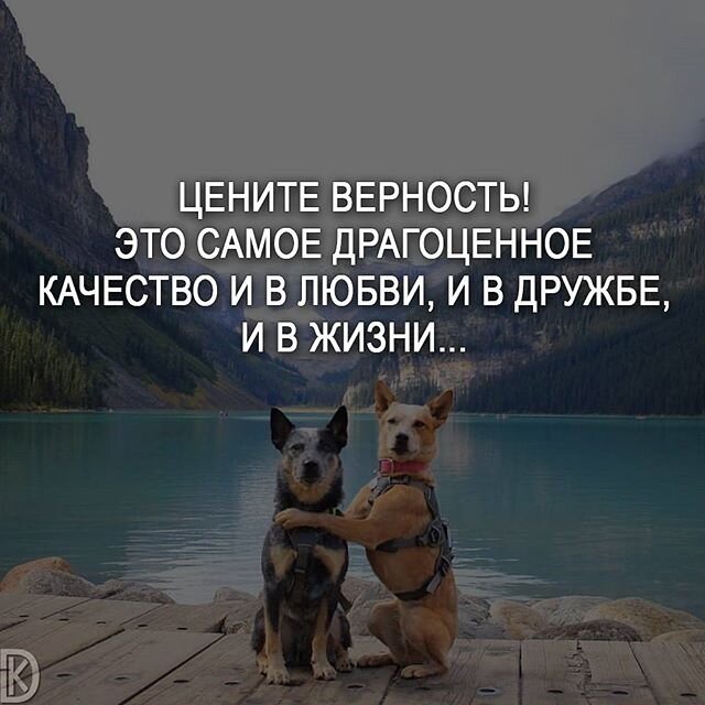 Картинки цените верность
