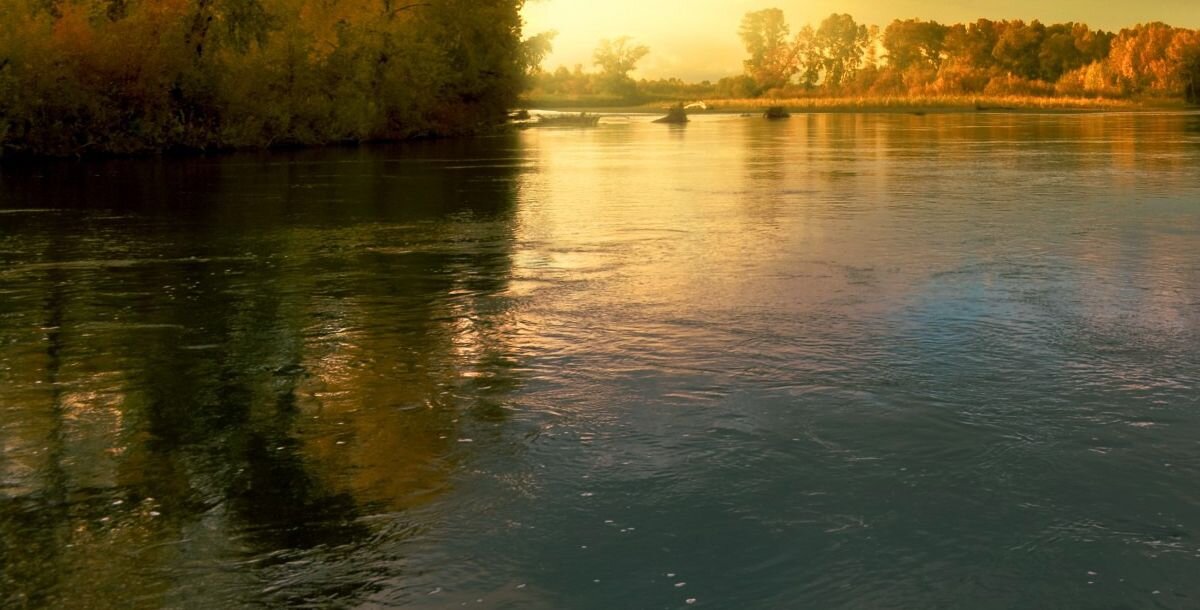 Фото: pixabay.com