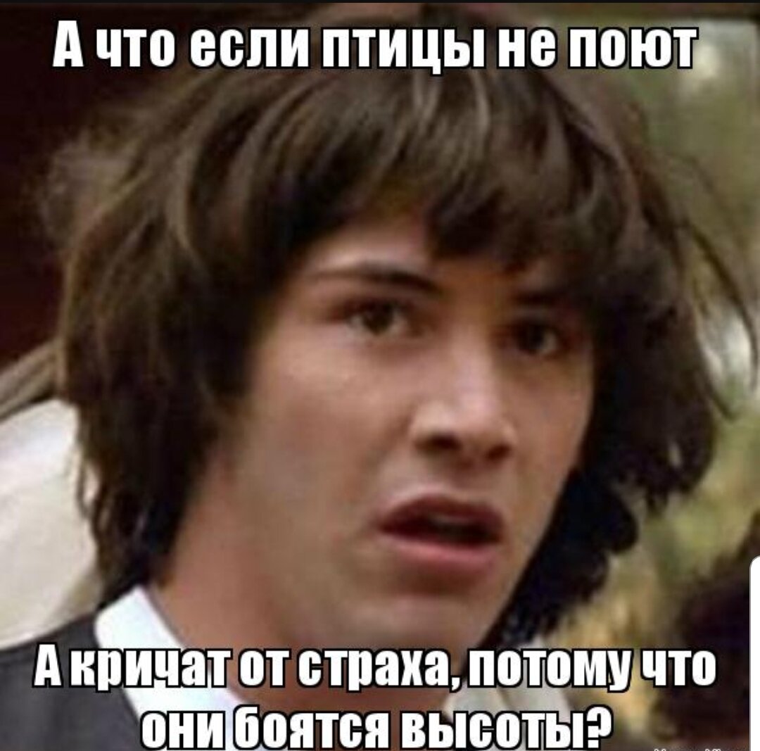 Не понял»: как пишется «не» с глаголами? | Русский для чайников | Дзен