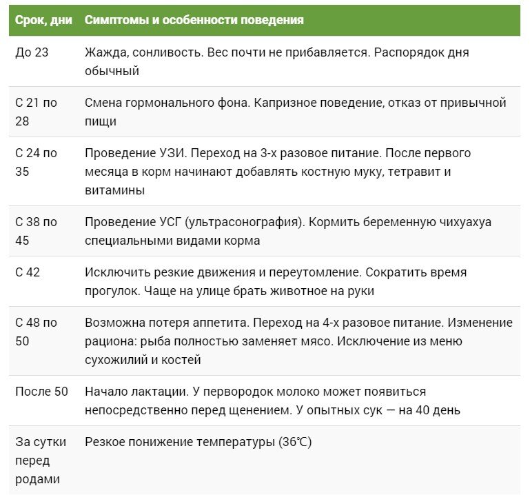 Календарь беременности собаки по дням