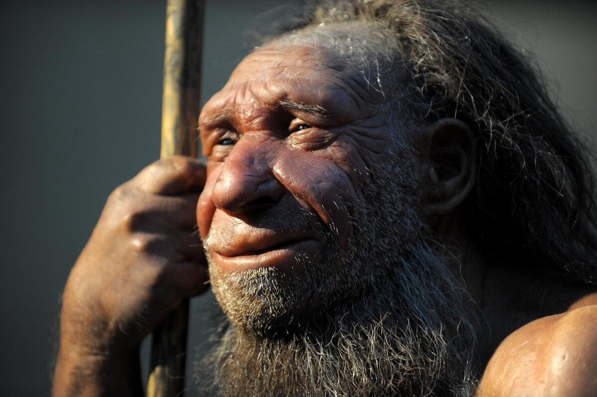 Примерно так выглядел типичный неандерталец