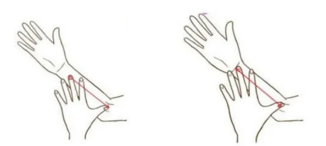 Маленькая ладонь                                                                                     Большая ладонь