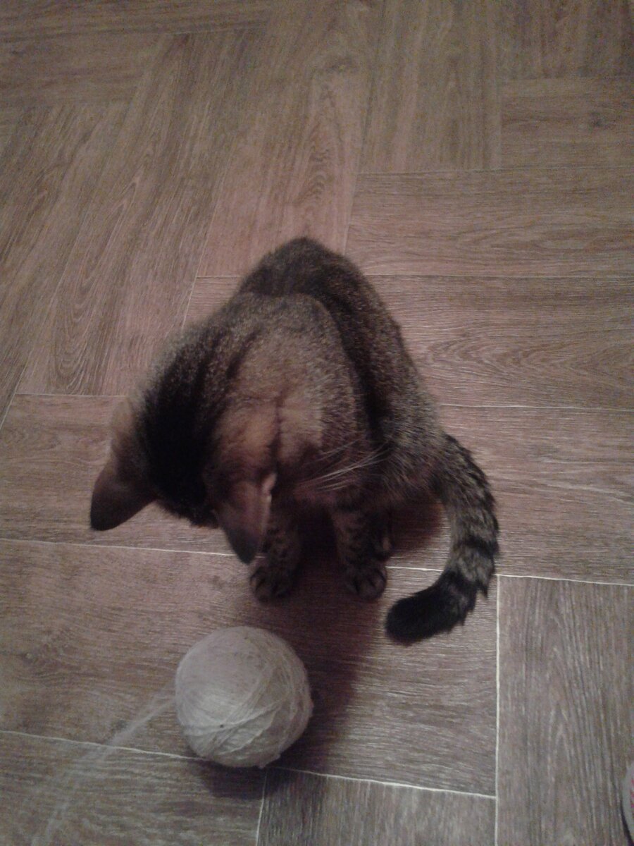 обездвиженное сидение продолжалось 5 минут