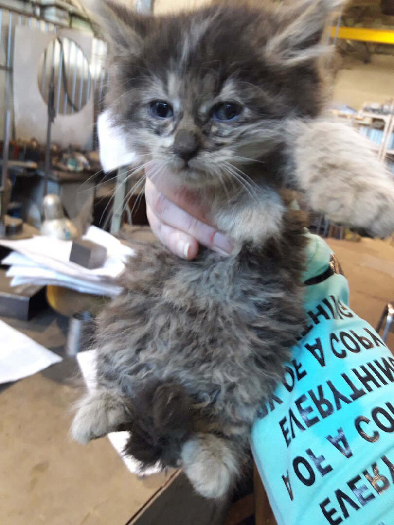 За неделю работы, судя по внешнему виду Сан-Саныч добился шестого разряда токаря :-)