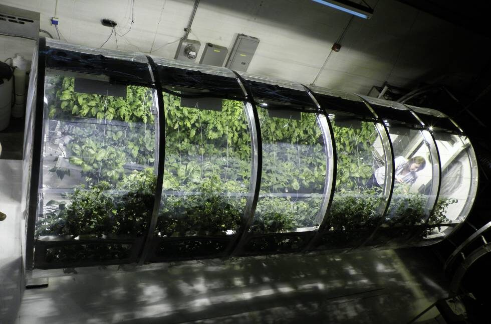   Un invernadero lunar pone a prueba los sistemas que se podrían emplear en nuestro satélite University of Arizona  