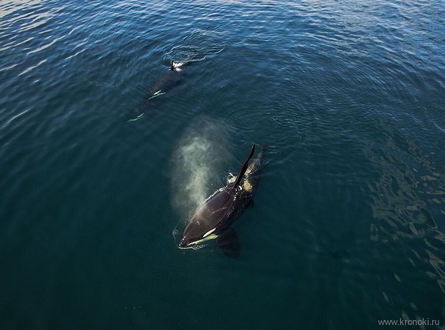Фото: http://www.mnr.gov.ru