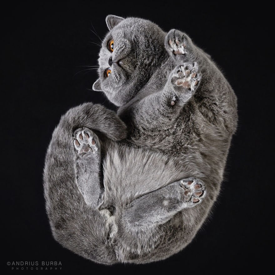 Фото с сайта underlook.org