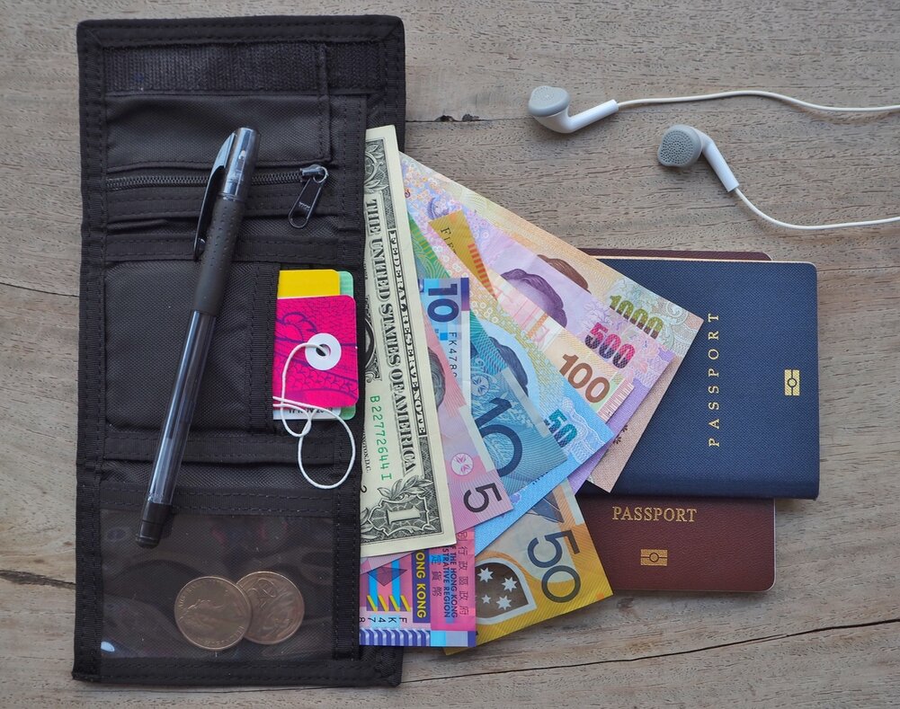 К чему снится украли кошелек с деньгами. Тревал кошелёк. Бумажник go Travel. Travel Holder 3 Passports. Сонник потеря сумки с деньгами.