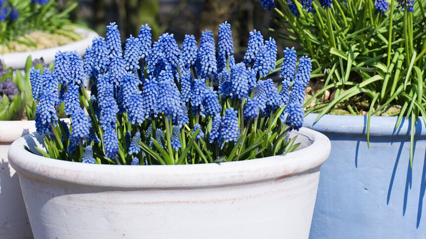 фото из сети Интернет