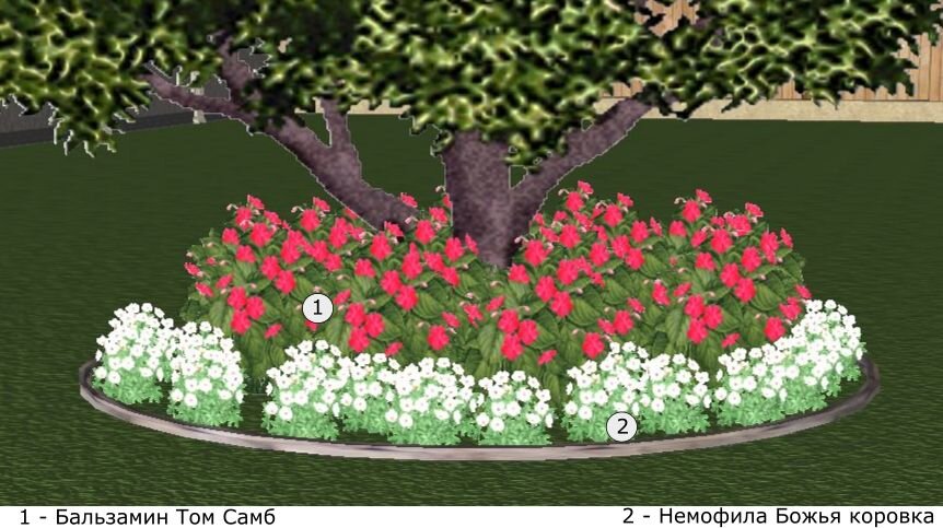 Клумба из теневыносливых однолетних цветов
