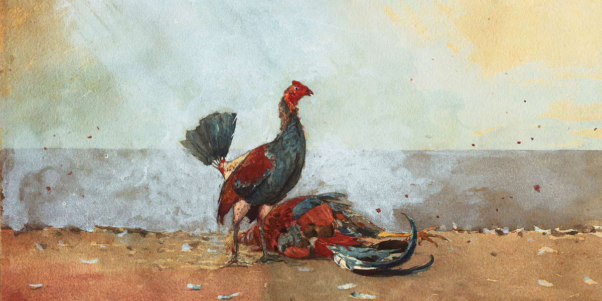Уинслоу Хомер. «Петушиный бой». 1885. 

Art Institute of Chicago