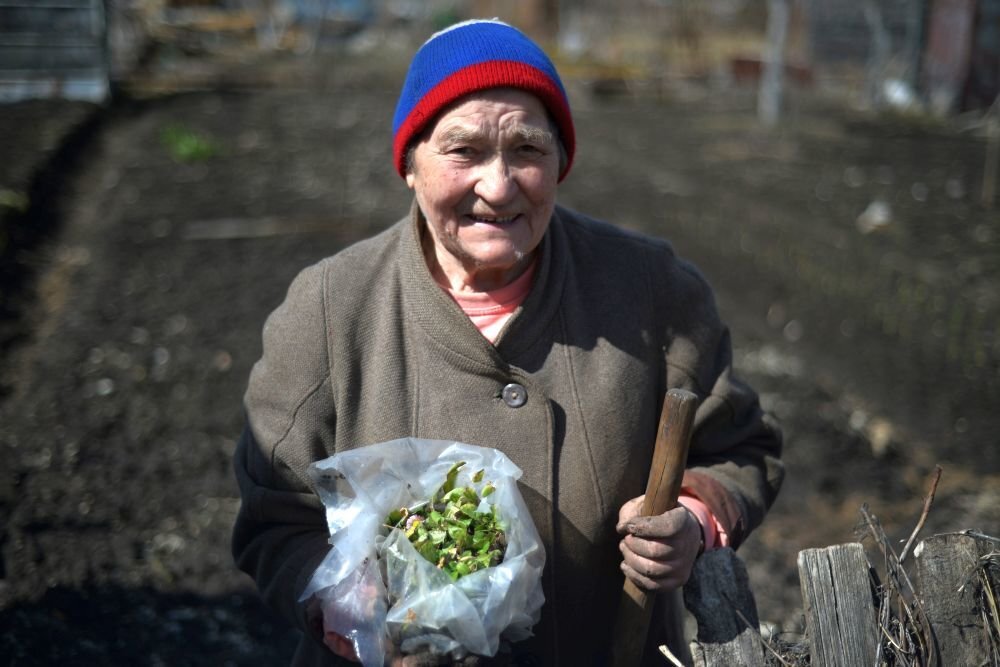 Дачники амнистированы