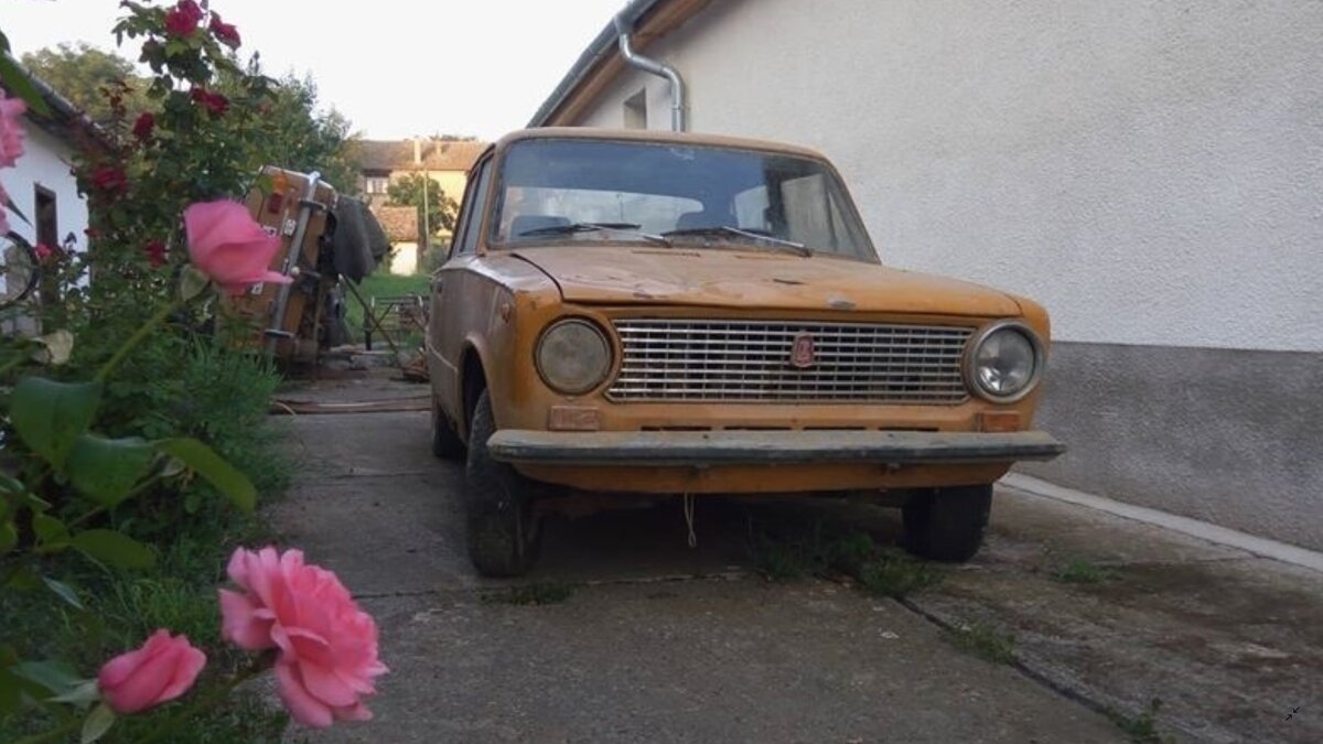 3 картинки в галерее. Листаем стрелкой. Загружено с pixabay.com