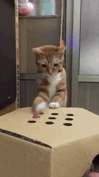 Сейчас будет кусь!