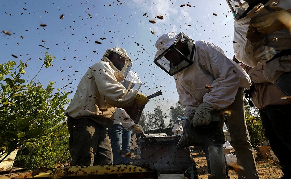 Автор: Алевтина Сидорова