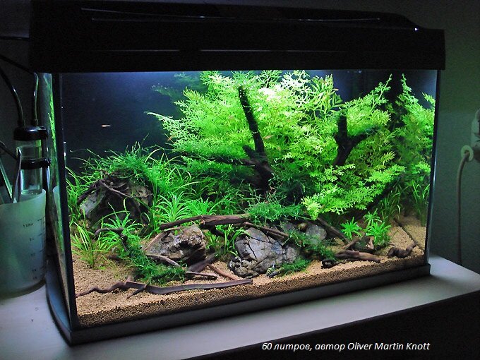 Для примера и вдохновения