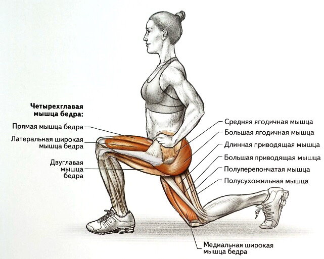 фото из сети интернет