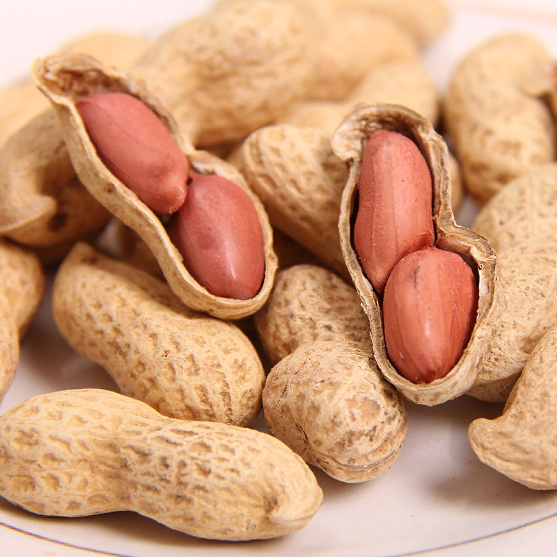 Арахис это бобы. Земляной арахис. Орехи арахис. Арахис культурный Земляной орех. Арахис это бобовые.