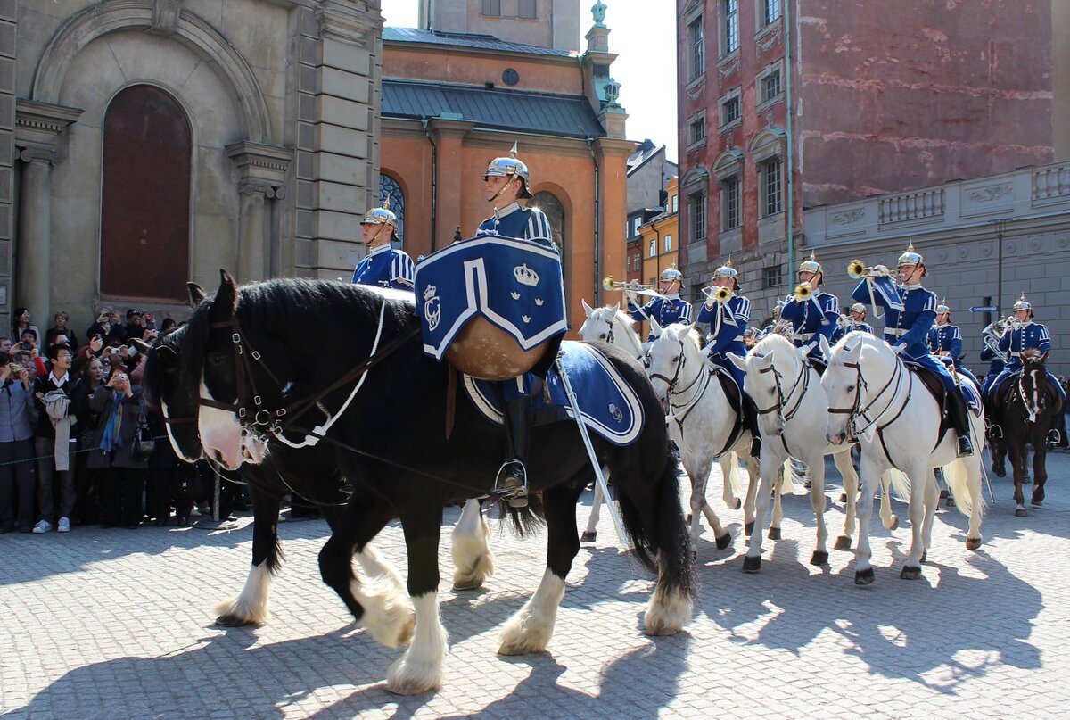 Фото с сайта photosight.ru