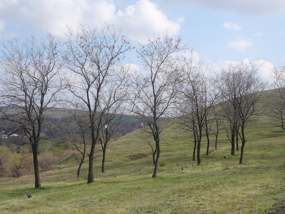 Фото - из архива автора 