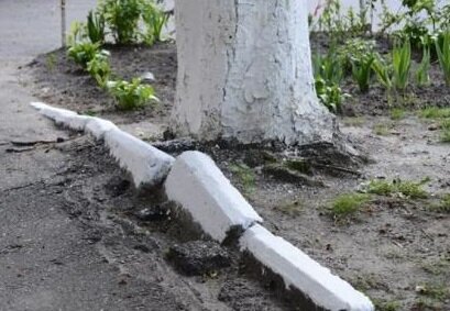 Фото носит иллюстративный характер.