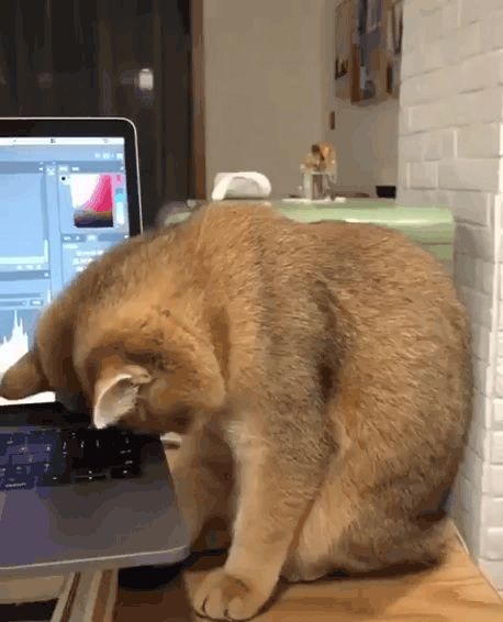 Нажми на картинку, чтобы посмотреть видео. Источник: Ютуб.