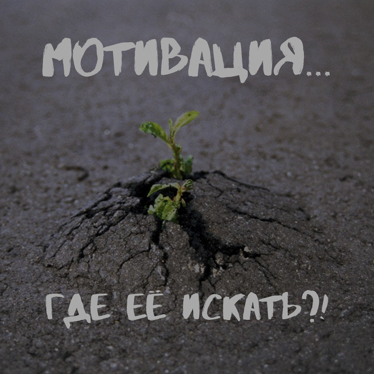 Твоя жизнь зависит только от тебя!