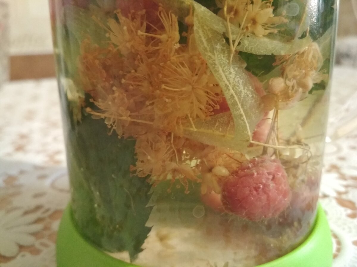 заварила сразу в большой заварник