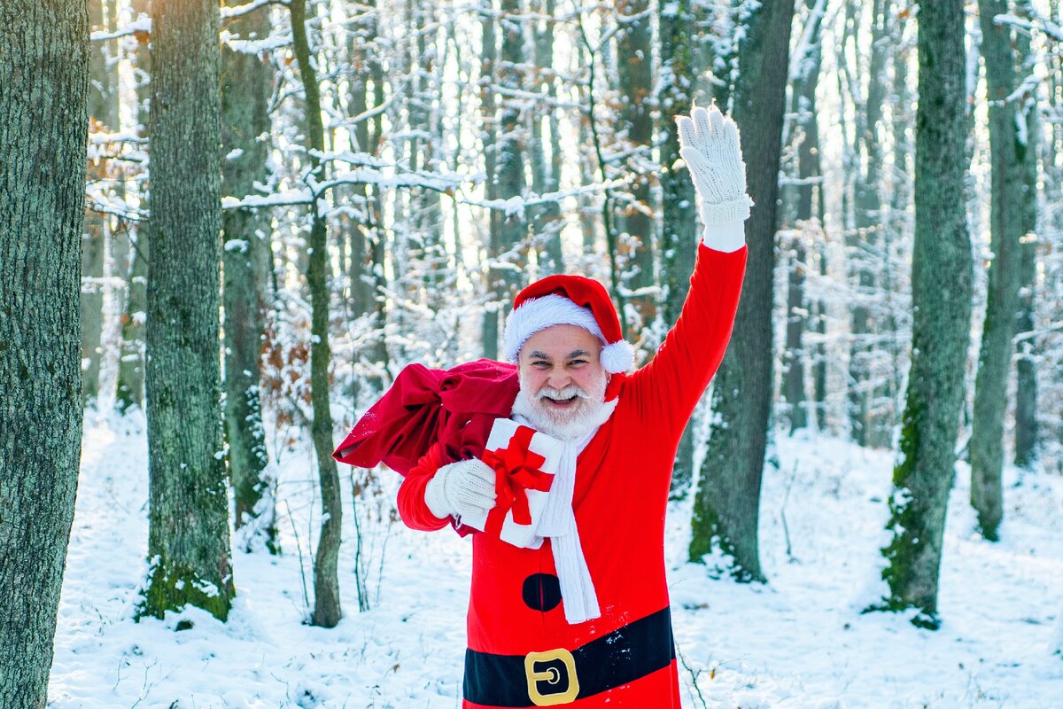 Фотография СантыФото Санта читает книгуФотография Санта читает книгу