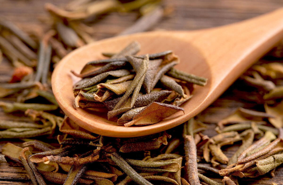 Сайган Дайля