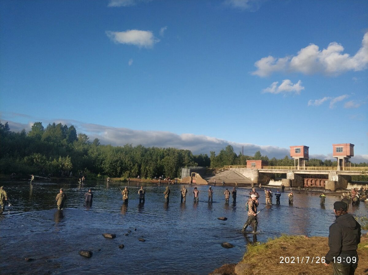 Незаконный лов горбуши, река Солза, фото со страницы рыбака, в ВК, о котором речь идет ниже