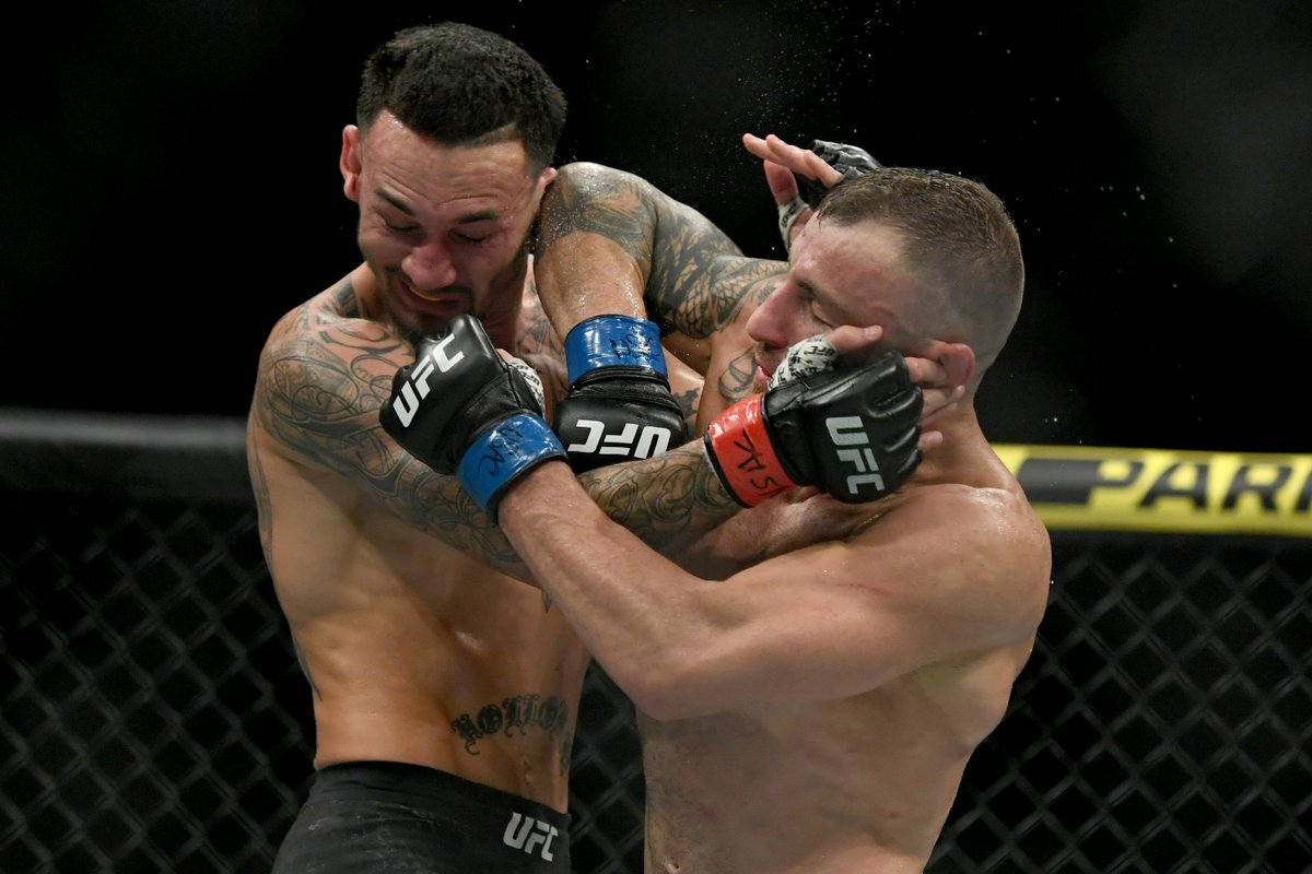 Взято из открытого источника Яндекс. Картинки