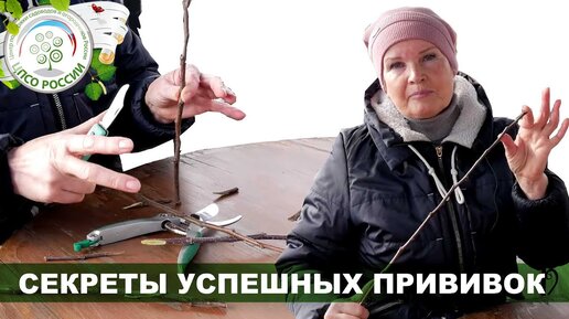 Прививка плодовых деревьев: распространенные ошибки и секреты успешной прививки