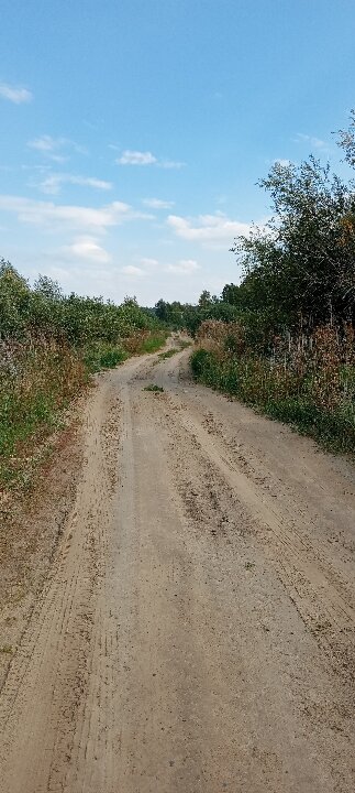 Как заметил один английский профессор, опасное это дело - выходить за порог...