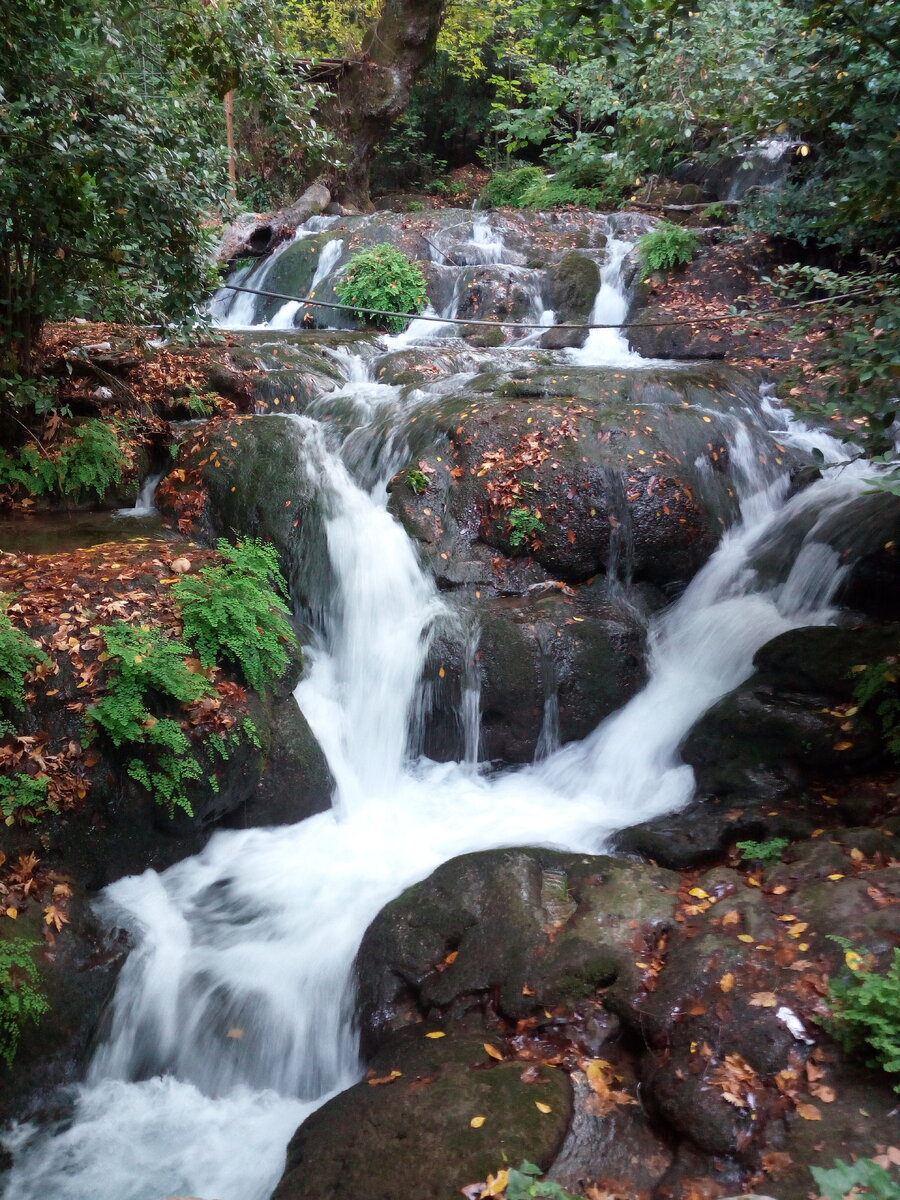 IPO это еще один ручеек в ваш бурный поток пассивного дохода