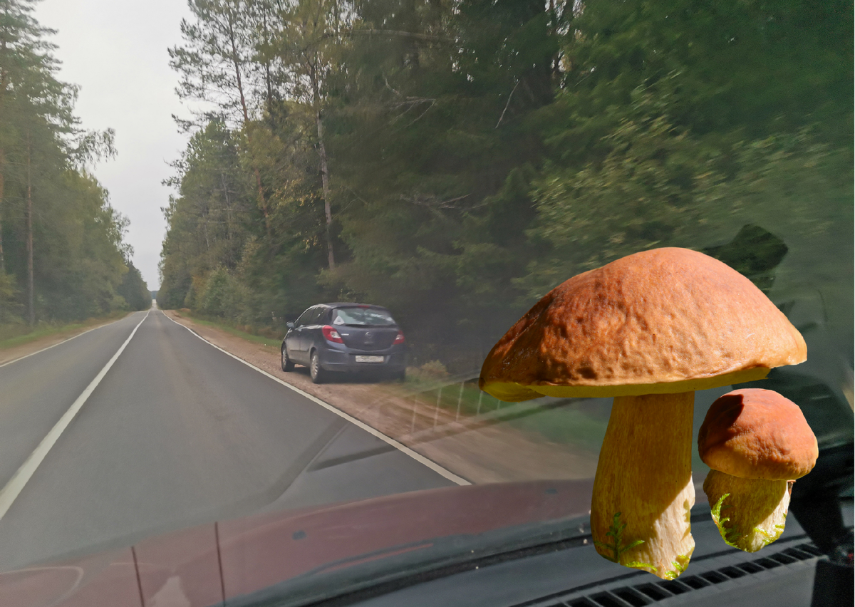 Опять заблудился - фото автора