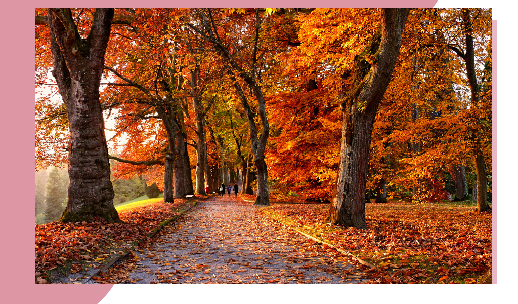Фотография из открытых источников