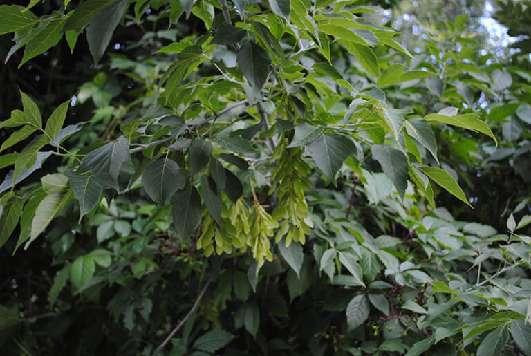 Фото: из открытых Интернет-источников