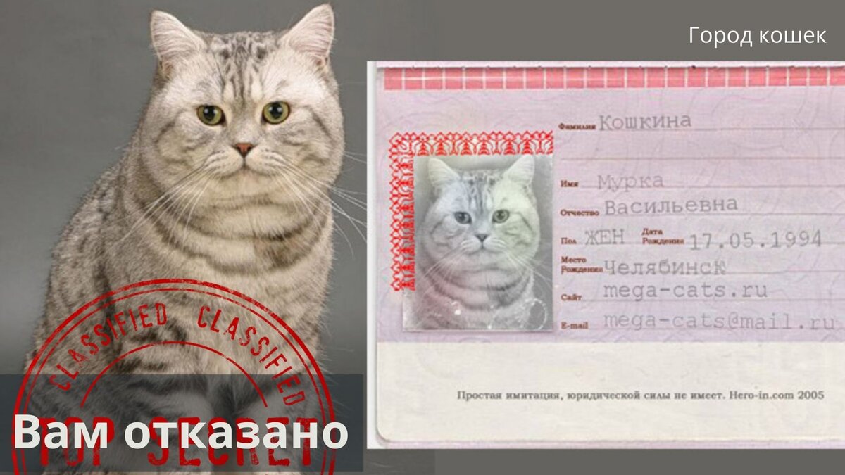 Русской Мурке отказано во въезде