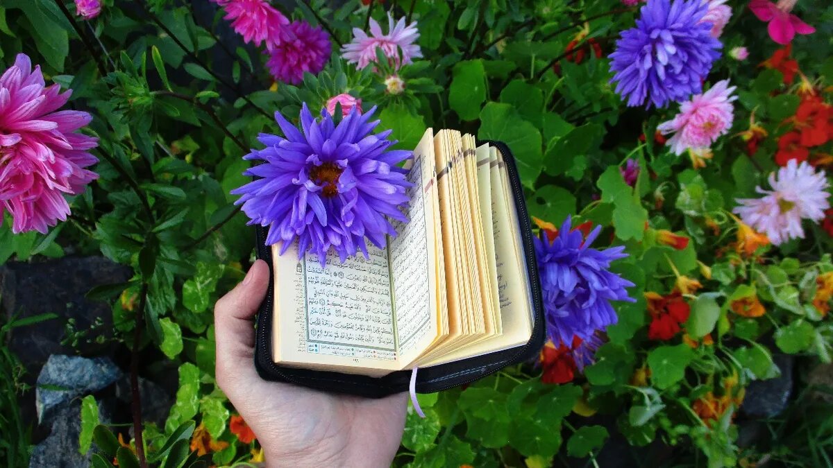 Мусульмане особо сильно почитают все свои праздники. Фото: Pxfuel.com