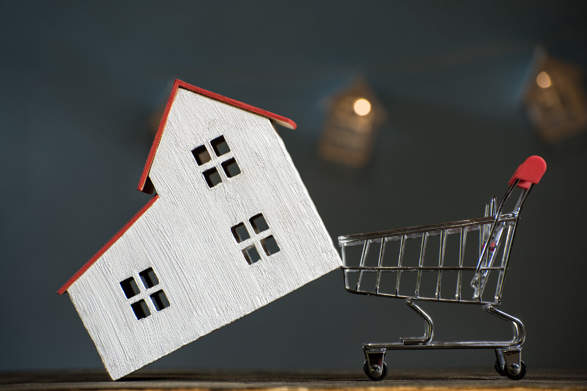                                                    Картинка со стока Freepik