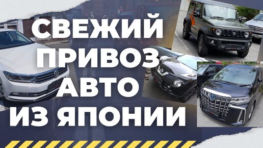 Свежий привоз авто из Японии! Цены! Alphard, Passat, N-BOX, Jimny